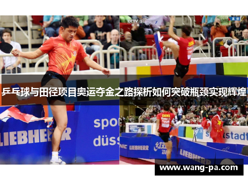 乒乓球与田径项目奥运夺金之路探析如何突破瓶颈实现辉煌