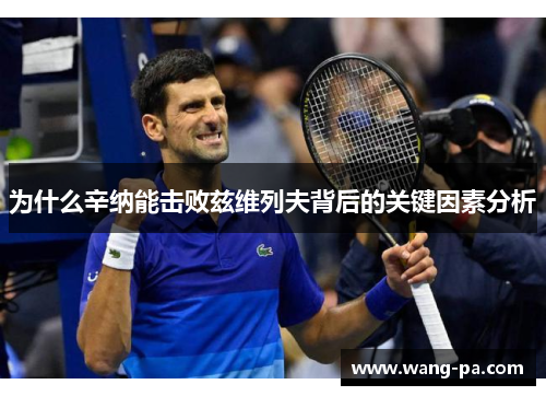 为什么辛纳能击败兹维列夫背后的关键因素分析