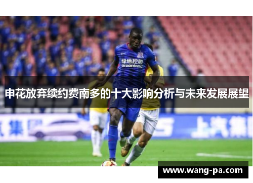 申花放弃续约费南多的十大影响分析与未来发展展望 申花放弃续约费南多的十大影响分析与未来发展展望