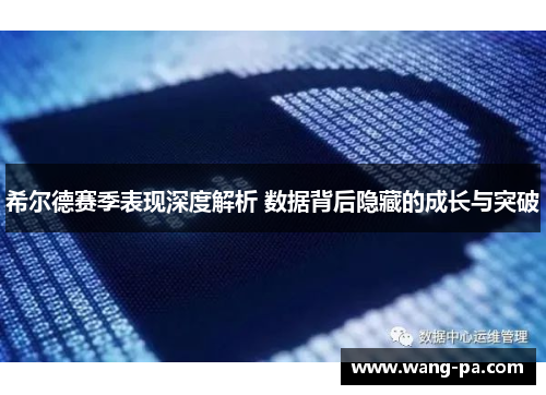 希尔德赛季表现深度解析 数据背后隐藏的成长与突破