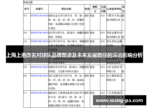 上海上港改名对球队品牌塑造及未来发展路径的深远影响分析