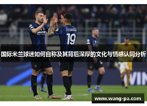 国际米兰球迷如何自称及其背后深厚的文化与情感认同分析