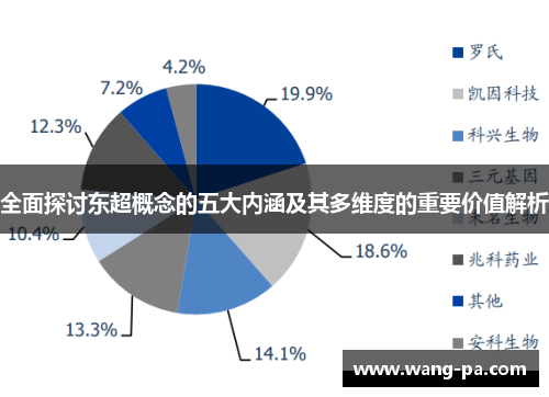 全面探讨东超概念的五大内涵及其多维度的重要价值解析
