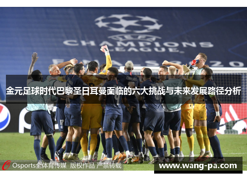 金元足球时代巴黎圣日耳曼面临的六大挑战与未来发展路径分析