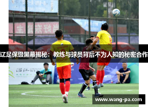 辽足保级黑幕揭秘：教练与球员背后不为人知的秘密合作