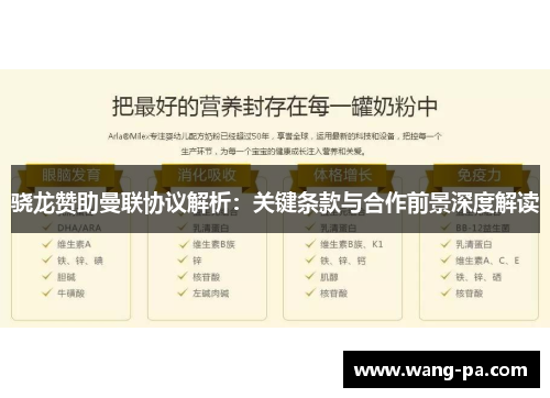 骁龙赞助曼联协议解析：关键条款与合作前景深度解读