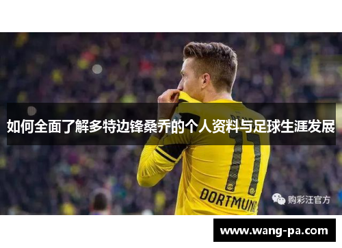 如何全面了解多特边锋桑乔的个人资料与足球生涯发展