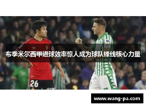 布季米尔西甲进球效率惊人成为球队锋线核心力量
