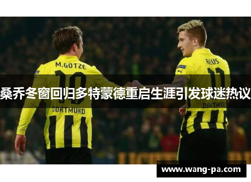 桑乔冬窗回归多特蒙德重启生涯引发球迷热议