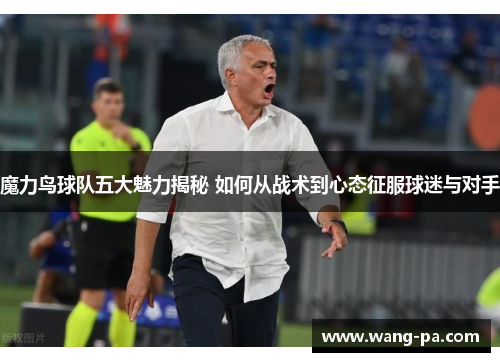 魔力鸟球队五大魅力揭秘 如何从战术到心态征服球迷与对手 魔力鸟球队五大魅力揭秘 如何从战术到心态征服球迷与对手