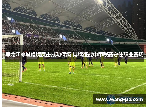黑龙江冰城绝境反击成功保级 持续征战中甲联赛守住职业赛场 黑龙江冰城绝境反击成功保级 持续征战中甲联赛守住职业赛场