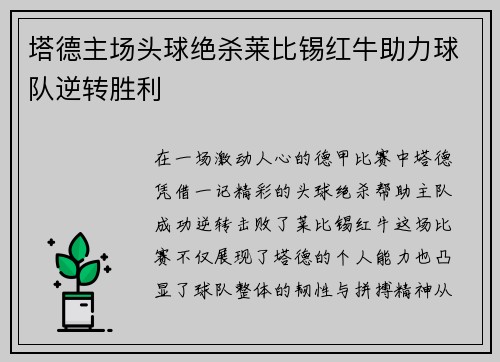 塔德主场头球绝杀莱比锡红牛助力球队逆转胜利 塔德主场头球绝杀莱比锡红牛助力球队逆转胜利